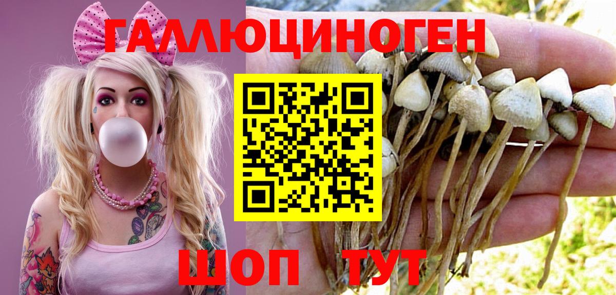Галлюциногенные грибы Psilocybine cubensis  Вход с VPN  Рубцовск 
